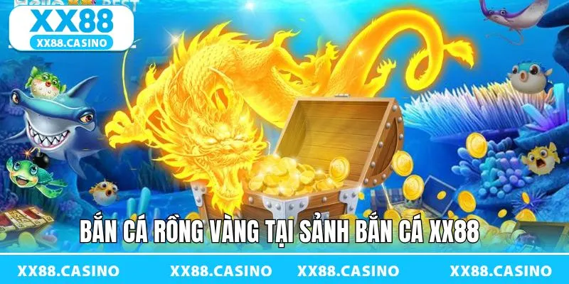 Rồng Vàng – Thử thách kịch tính với phần thưởng lớn