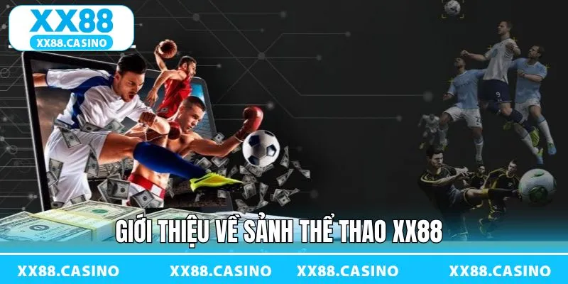 Nội dung tổng quan về sân chơi thể thao hấp dẫn